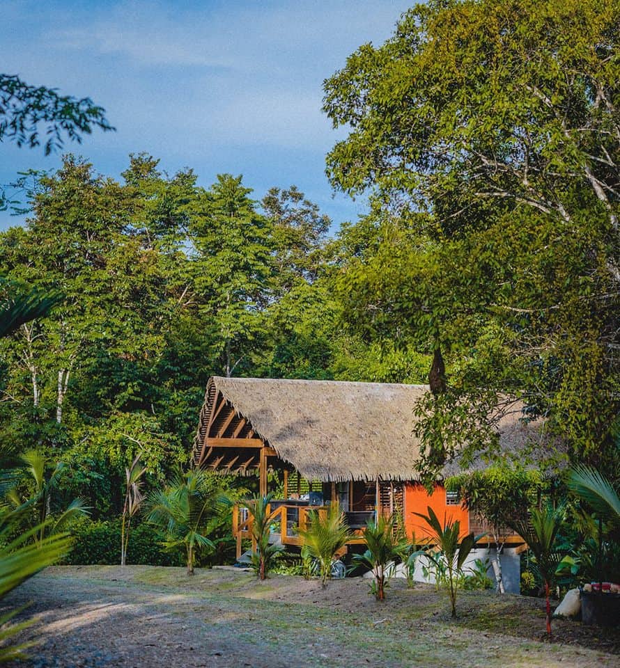 Villa de charme dans la jungle